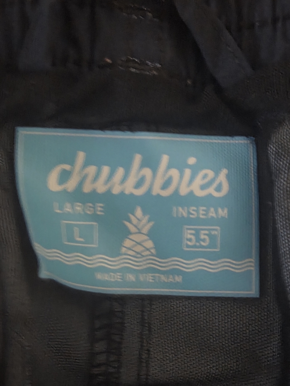Chubbies Lined Swim Trunks Midnight Black Rainbow Stipes Men's Large Inseam 5.5" - Picture 4 of 9